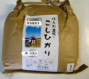 特別栽培米「天の恵み」食用玄米1,5kg