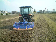 有機栽培のお米の農作業