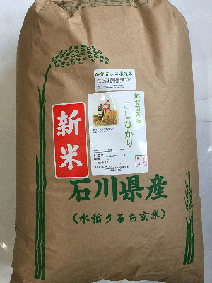 加賀厳選米コシヒカリ30kg白米