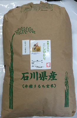 加賀厳選米コシヒカリ米30ｋｇ白米