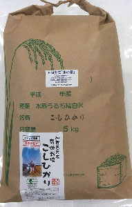 EM農法有機栽培米コシヒカリ「水の精」白米紙袋５ｋｇ