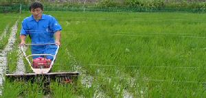 食べる米ぬか「健康美人」