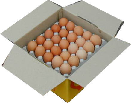 6個入りパック