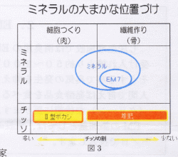 ＥＭ７