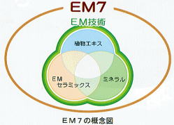 植物の活力をアップさせるEMセブン