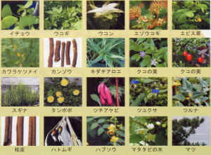 原材料