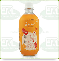 EM1号
