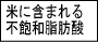 米に含まれる不飽和脂肪酸