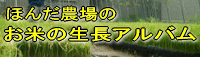 有機栽培のお米ができるまで