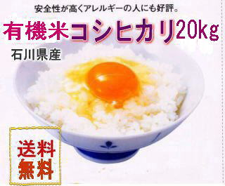 天日干し有機栽培米こしひかり白米20kg