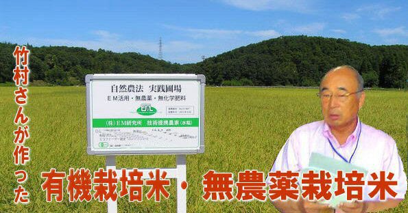 辻本長衛さんって”!!