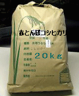 エコ栽培米赤とんぼ米コシヒカリ食用玄米
