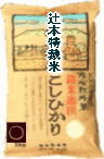 辻本さんの特別栽培米コシヒカリ