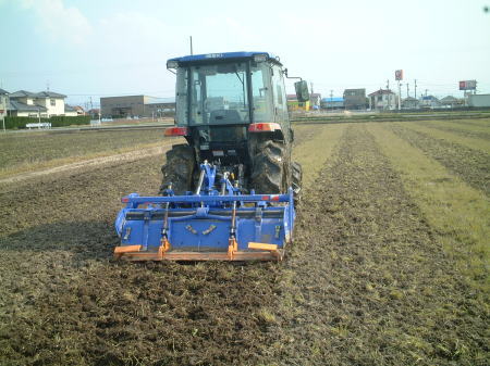 Organic rice farming work