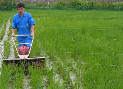 自然農法特別栽培米こしひかり、お試し版