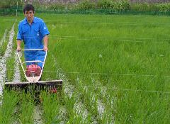 除草機による除草