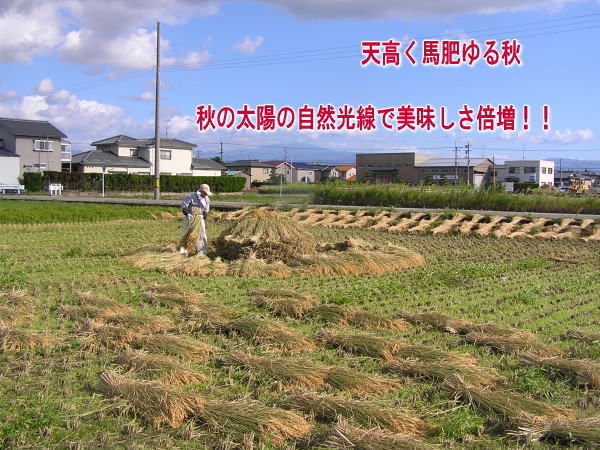 天日干しもち