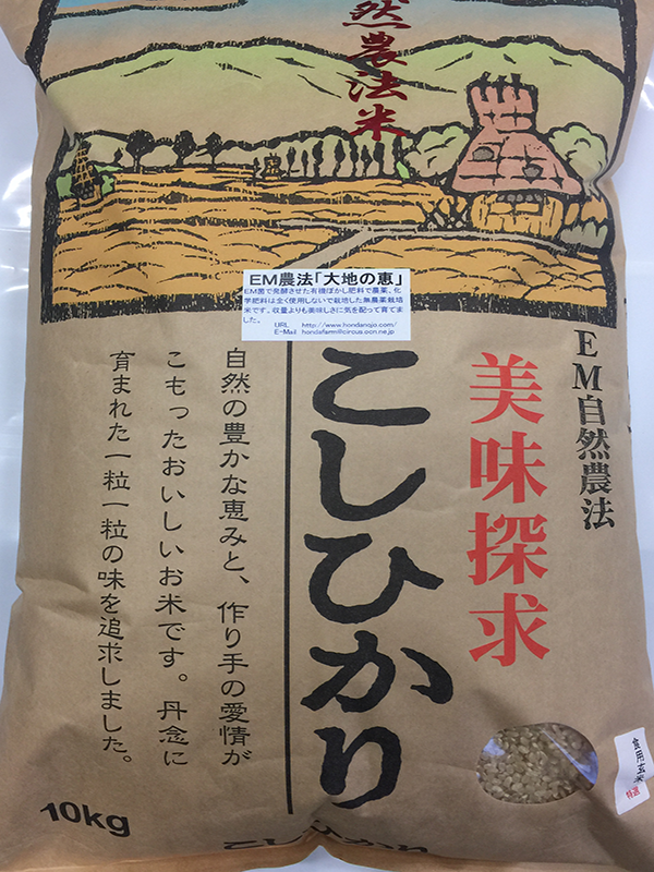 無農薬栽培米「大地の恵み」10kg食用玄米