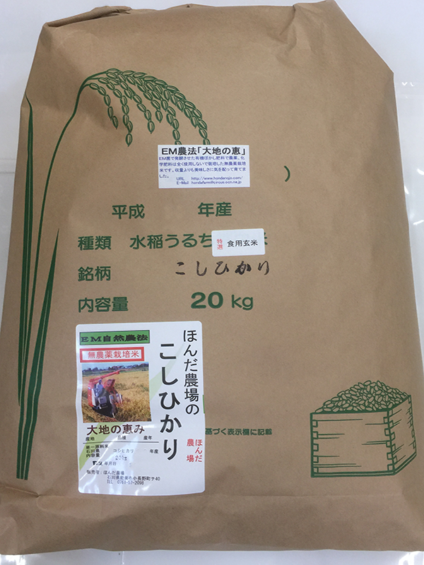 無農薬栽培米「大地の恵み」20kg食用玄米