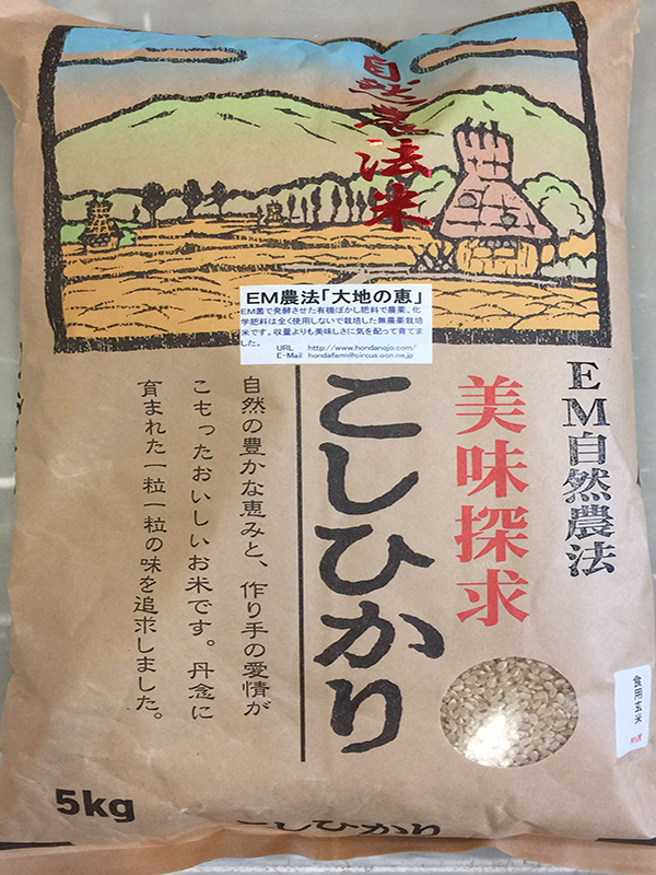 無農薬栽培米「大地の恵み」5kg食用玄米