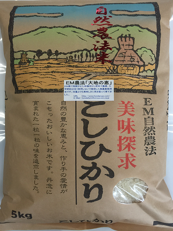 無農薬栽培米コシヒカリ「大地の恵み」5kg白米