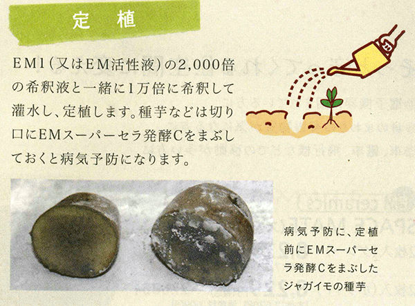 種まき・定植に使用し、発芽促進種子の保存にも