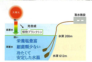 EMていだの生塩は水深612mから取水した海洋深層水を利用しています。