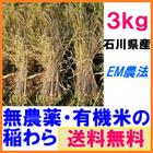 無農薬、有機栽培天日干し栽培米からとれた無農薬、有機栽培稲わら3kg