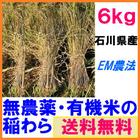 無農薬、有機栽培天日干し栽培米からとれた無農薬、有機栽培稲わら6kg