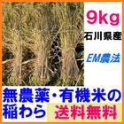 無農薬有機栽培無選別稲わら 9kg(約30束)