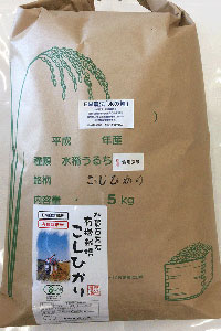 有機栽培米食用玄米「水の精」5kg