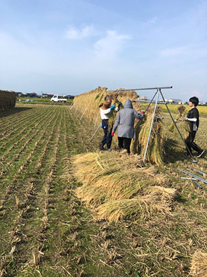 天日干し有機栽培米にゅう積み作業
