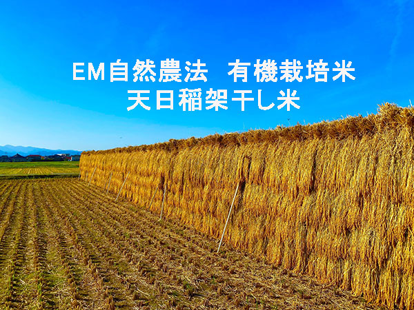 天日稲架干し有機栽培米コシヒカリのページ