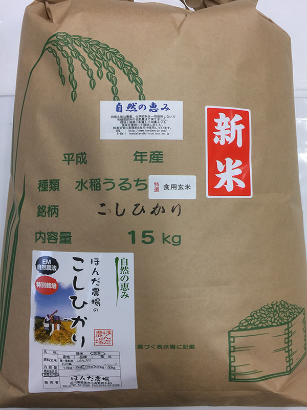 特別栽培米自然の恵みコシヒカリ15kg食用玄米