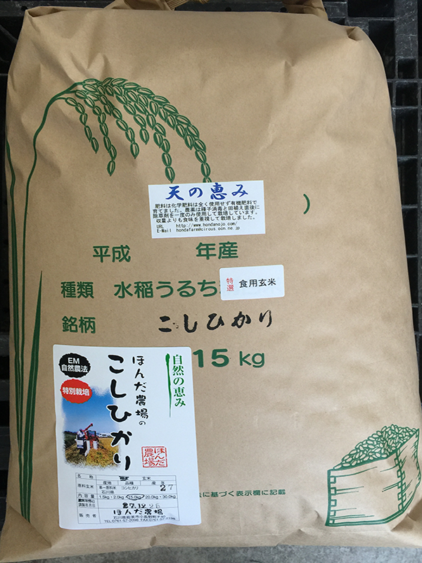 特別栽培減農薬栽培米「天の恵み」15kg食用玄米