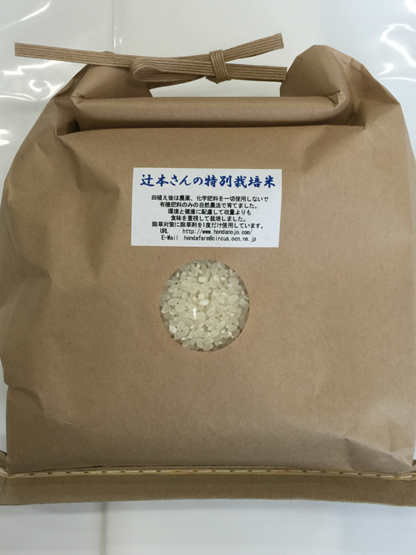 お試し版辻本さんの特別栽培米コシヒカリ2ｋｇ白間合い、玄米