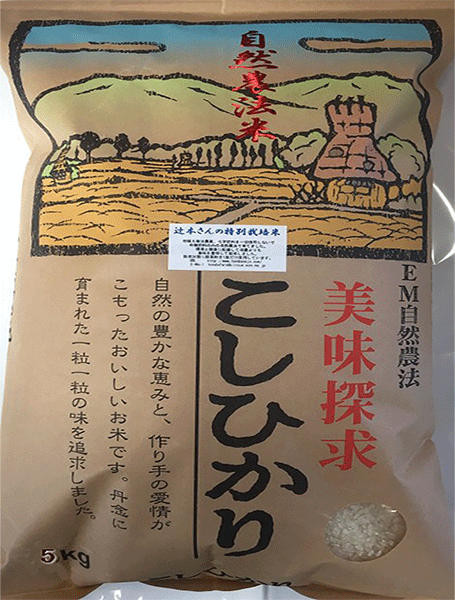 EM農法辻本さんの特栽米こしひかり白米10kg 