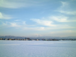 北陸の冬の田んぼ風景