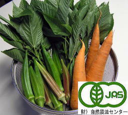 EM農法無農薬野菜人参・モロヘア・オクラ