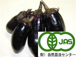 有機栽培 なす